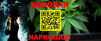 индика Пушкино