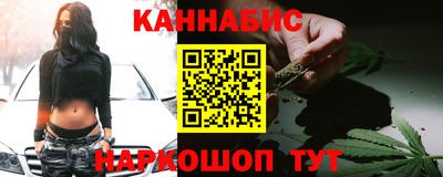индика Пушкино