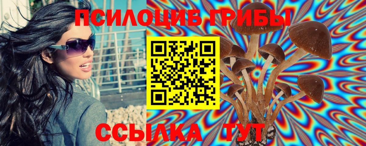 Псилоцибиновые грибы MAGIC MUSHROOMS  Вход с VPN  Галлюциногенные грибы прущие грибы  Озёрск 