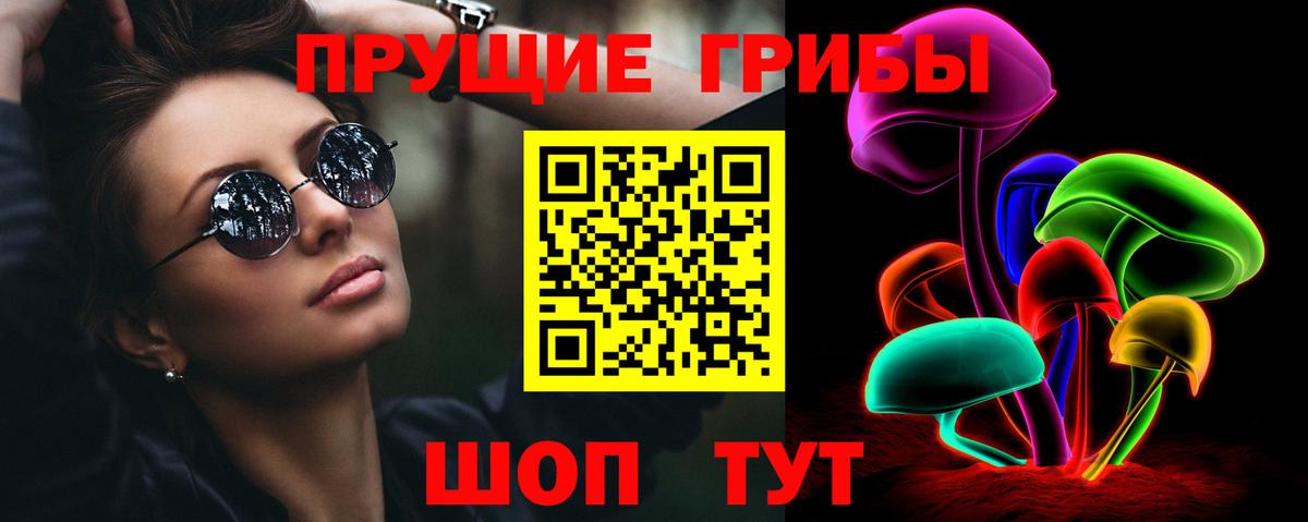 Псилоцибиновые грибы Psilocybe Озёрск